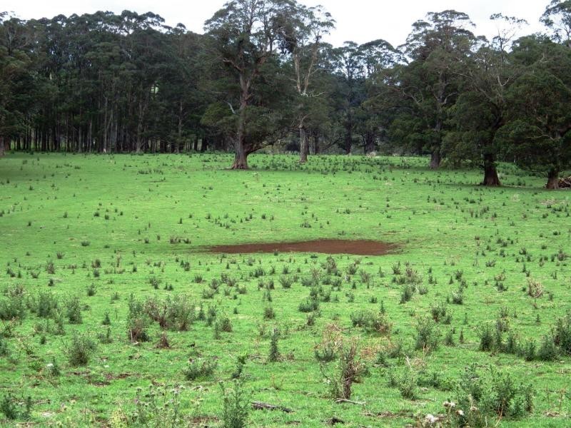 Dorrigo NSW 2453