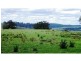 Dorrigo NSW 2453