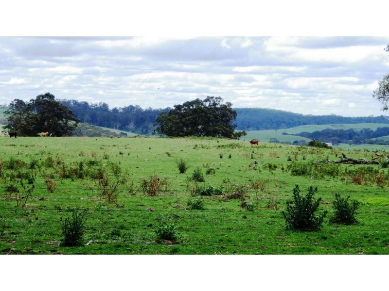Dorrigo NSW 2453