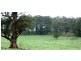 Dorrigo NSW 2453