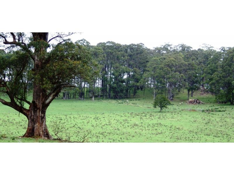 Dorrigo NSW 2453