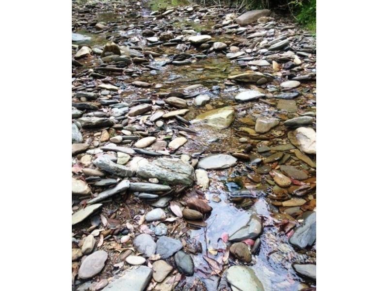 L54 Taylors Arm Road, Burrapine, Burrapine NSW 2447