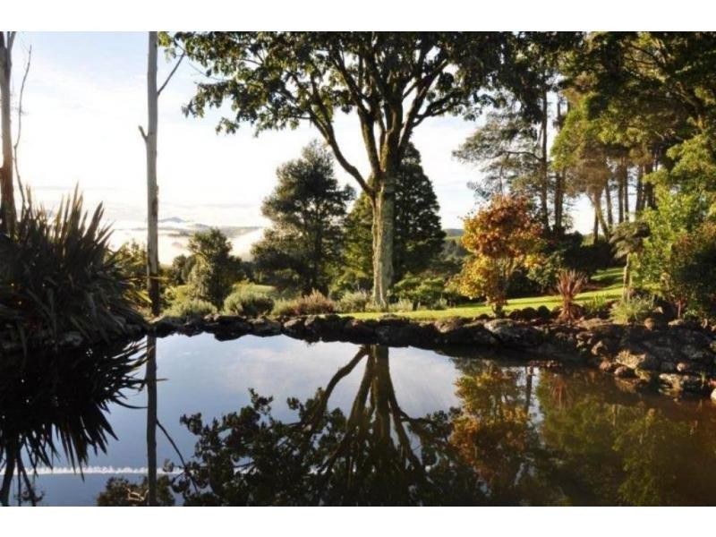 757 Whisky Creek Road, Dorrigo, Dorrigo NSW 2453