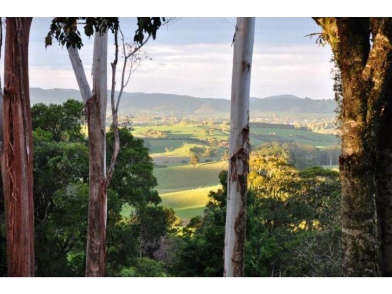 757 Whisky Creek Road, Dorrigo, Dorrigo NSW 2453