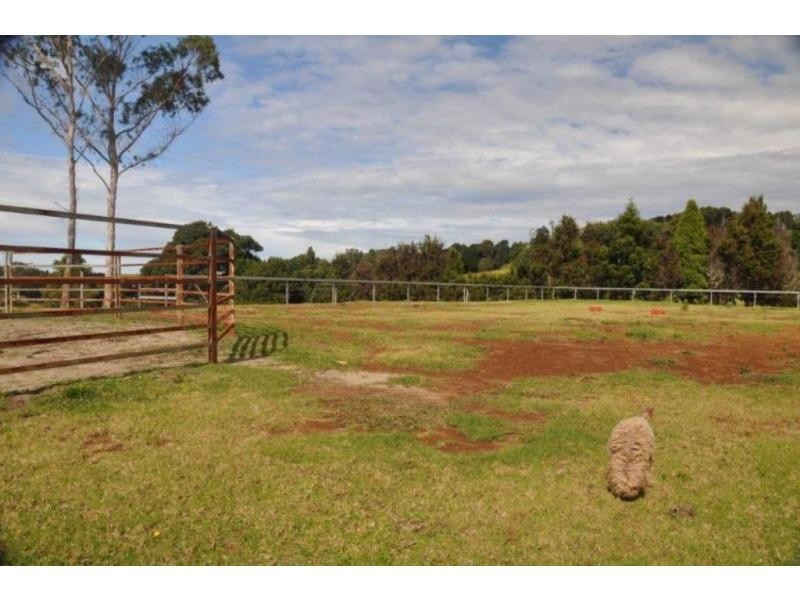 757 Whisky Creek Road, Dorrigo, Dorrigo NSW 2453