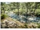 Dorrigo NSW 2453