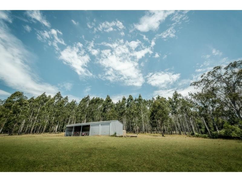 Dorrigo NSW 2453