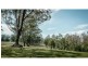 Dorrigo NSW 2453