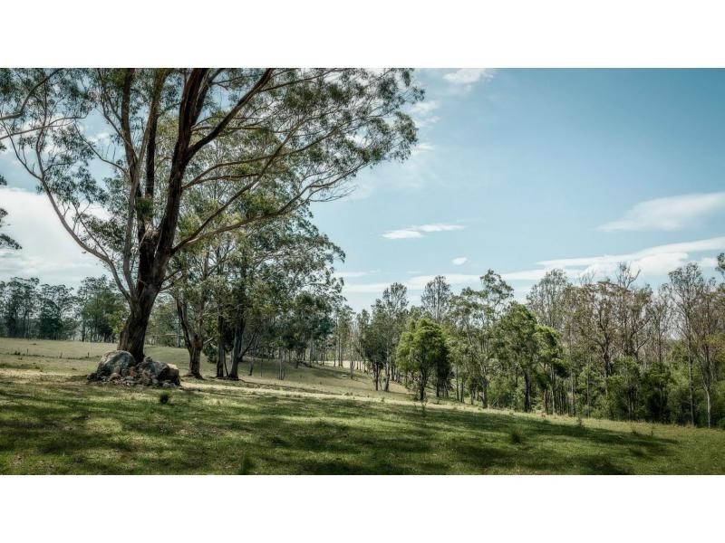 Dorrigo NSW 2453