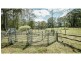 Dorrigo NSW 2453