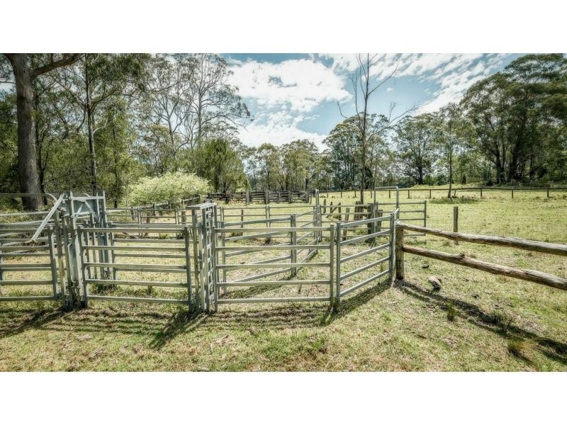 Dorrigo NSW 2453