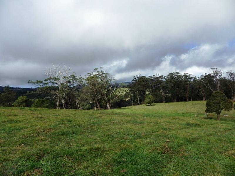 Dorrigo NSW 2453