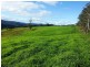 9263 Armidale Road, Dorrigo, Tyringham NSW 2453