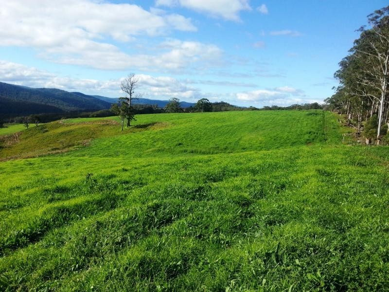9263 Armidale Road, Dorrigo, Tyringham NSW 2453