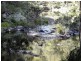 9263 Armidale Road, Dorrigo, Tyringham NSW 2453