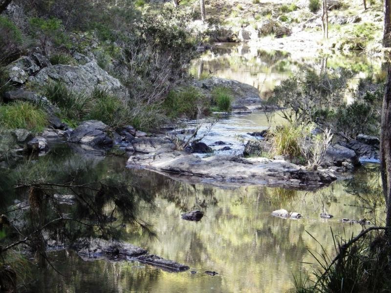 9263 Armidale Road, Dorrigo, Tyringham NSW 2453