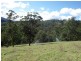 9263 Armidale Road, Dorrigo, Tyringham NSW 2453