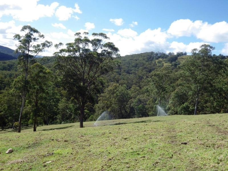 9263 Armidale Road, Dorrigo, Tyringham NSW 2453