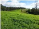 9263 Armidale Road, Dorrigo, Tyringham NSW 2453