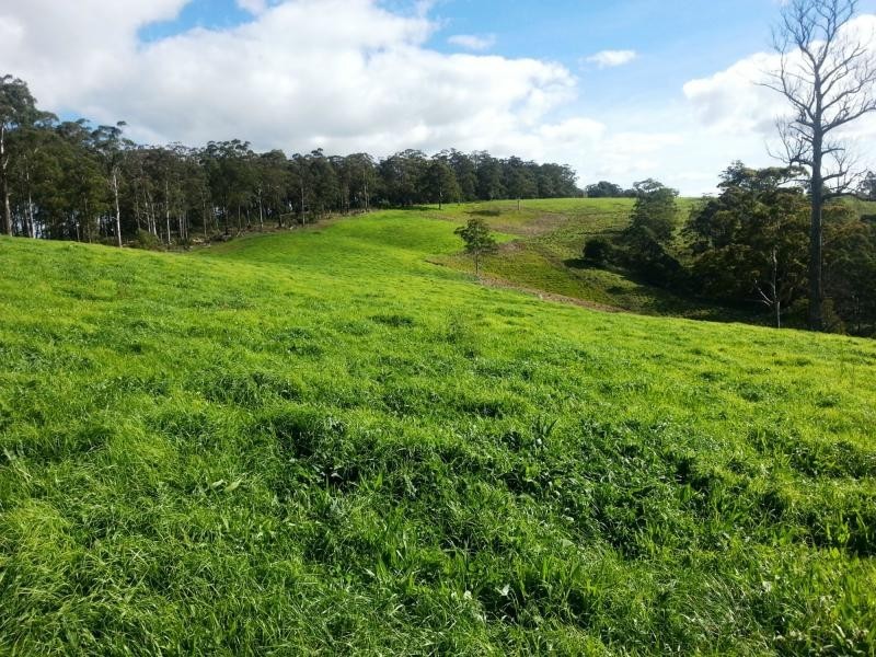 9263 Armidale Road, Dorrigo, Tyringham NSW 2453