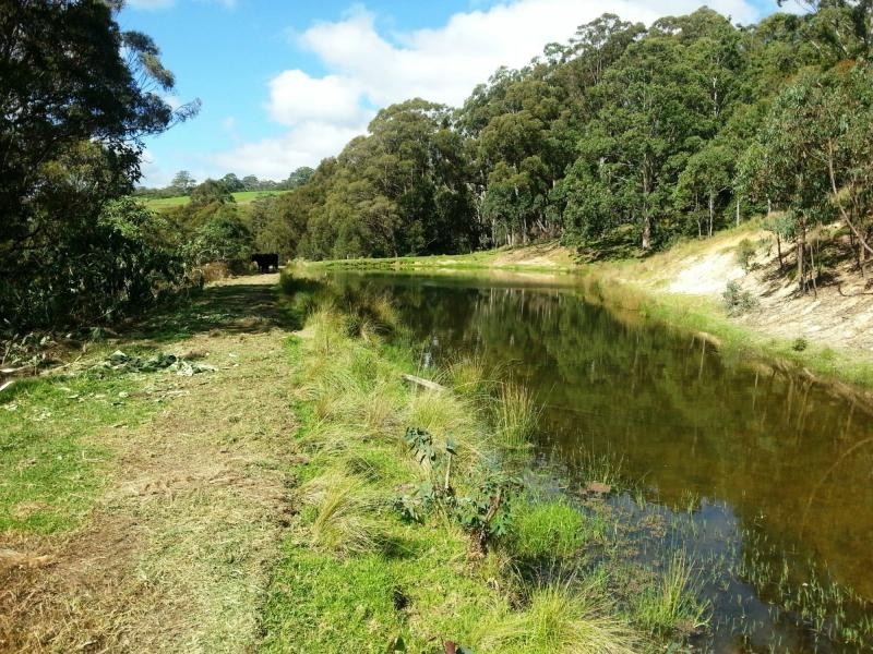9263 Armidale Road, Dorrigo, Tyringham NSW 2453