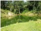 9263 Armidale Road, Dorrigo, Tyringham NSW 2453
