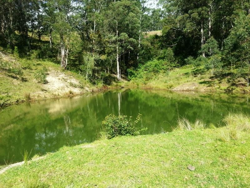 9263 Armidale Road, Dorrigo, Tyringham NSW 2453