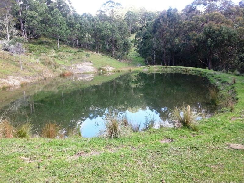9263 Armidale Road, Dorrigo, Tyringham NSW 2453