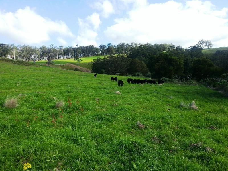 9263 Armidale Road, Dorrigo, Tyringham NSW 2453