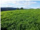 9263 Armidale Road, Dorrigo, Tyringham NSW 2453