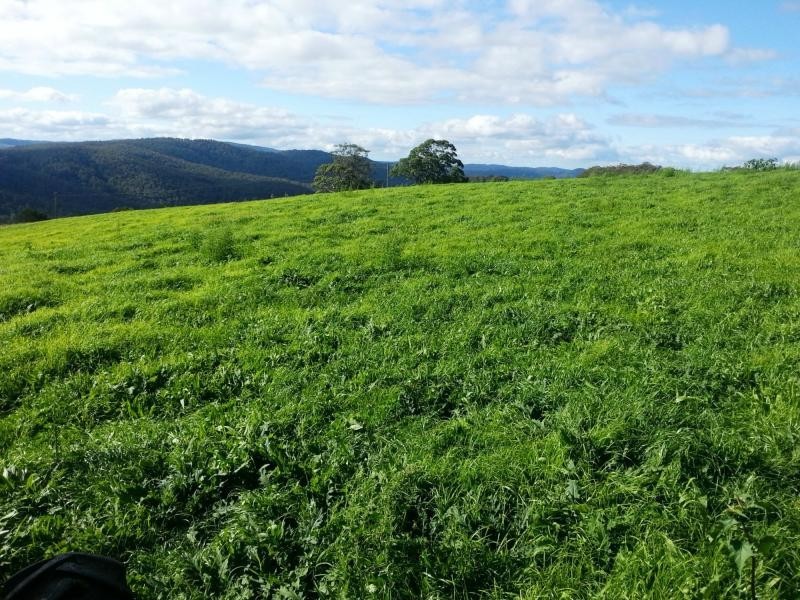 9263 Armidale Road, Dorrigo, Tyringham NSW 2453
