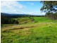 9263 Armidale Road, Dorrigo, Tyringham NSW 2453