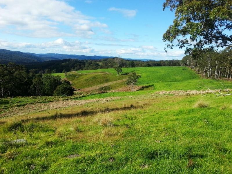 9263 Armidale Road, Dorrigo, Tyringham NSW 2453