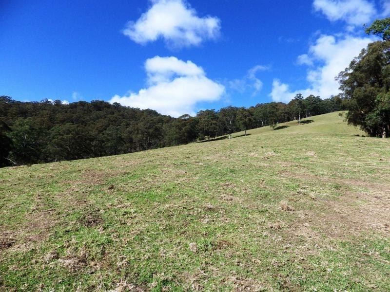 9263 Armidale Road, Dorrigo, Tyringham NSW 2453
