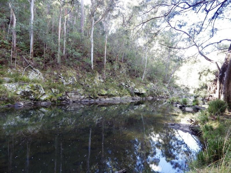 9263 Armidale Road, Dorrigo, Tyringham NSW 2453