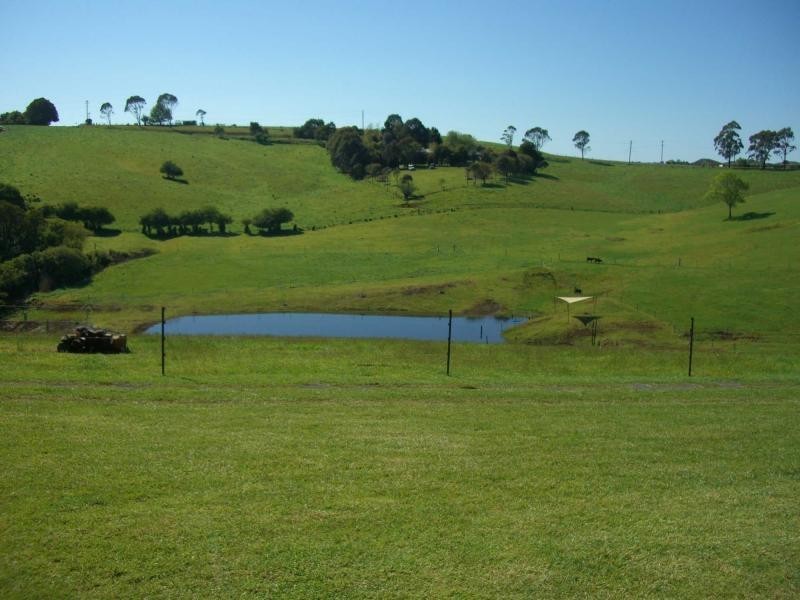 24 Kurrajong Street, Dorrigo NSW 2453