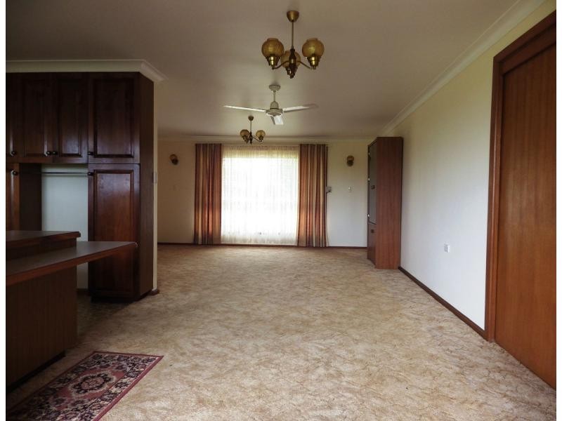 16 Kurrajong Street, Dorrigo NSW 2453