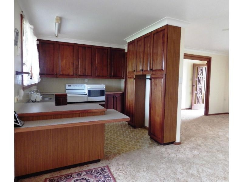 16 Kurrajong Street, Dorrigo NSW 2453