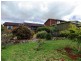 16 Kurrajong Street, Dorrigo NSW 2453