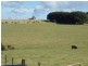 Dorrigo NSW 2453