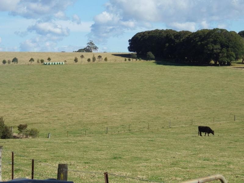 Dorrigo NSW 2453