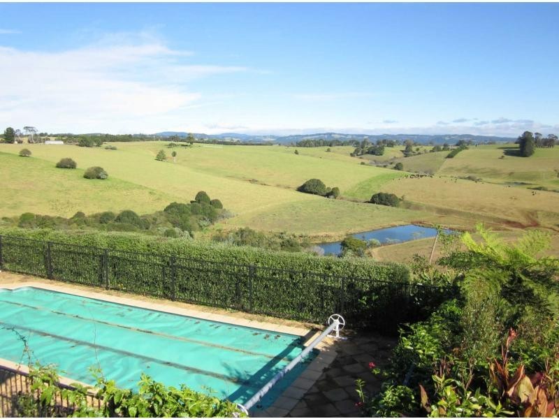 295 Tyringham Road, Dorrigo NSW 2453