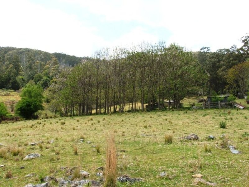 7630 Armidale Road, Billys Creek NSW 2453