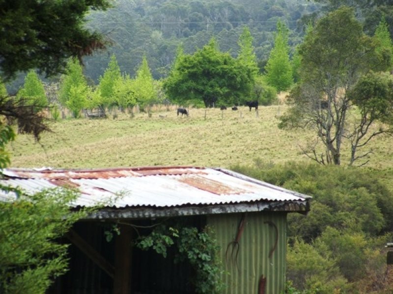 7630 Armidale Road, Billys Creek NSW 2453