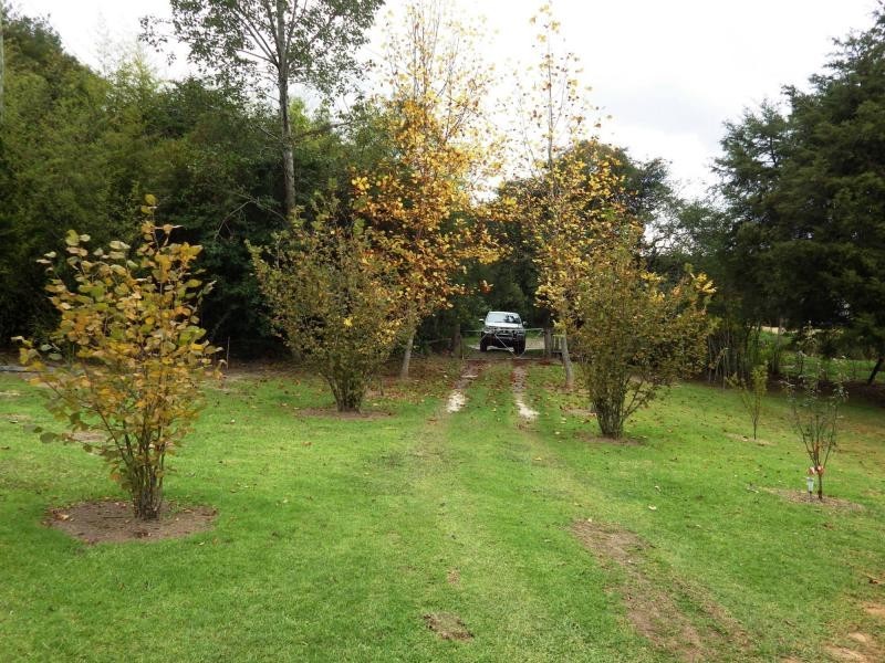 7630 Armidale Road, Billys Creek NSW 2453