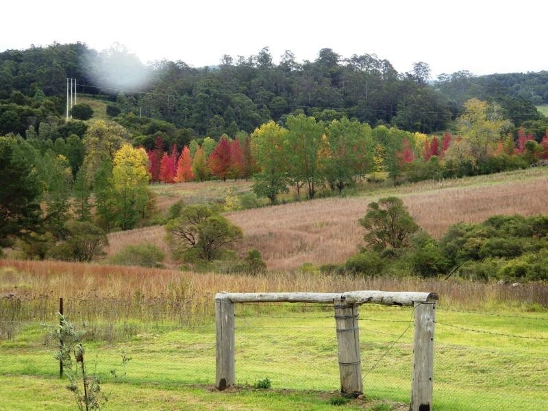 7630 Armidale Road, Billys Creek NSW 2453