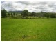 21 Vine Street, Dorrigo NSW 2453