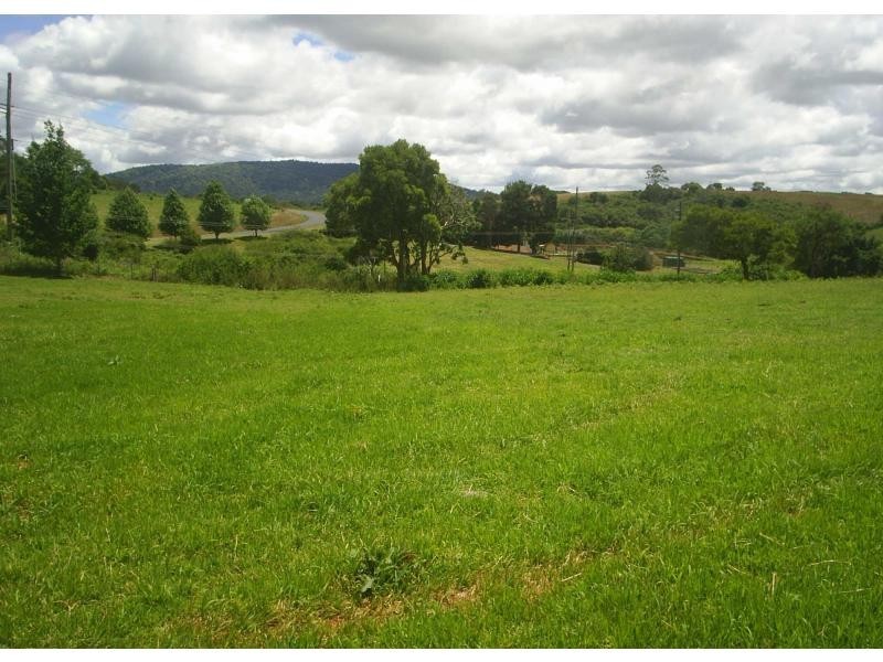 21 Vine Street, Dorrigo NSW 2453