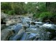 77 Sheepstation Creek Road, Dundurrabin, Dorrigo NSW 2453