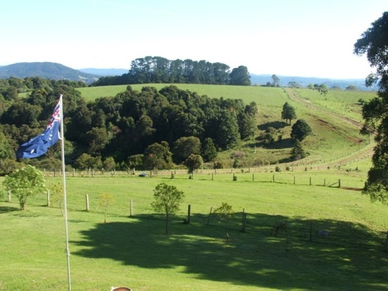 4948 Waterfall Way, Dorrigo NSW 2453
